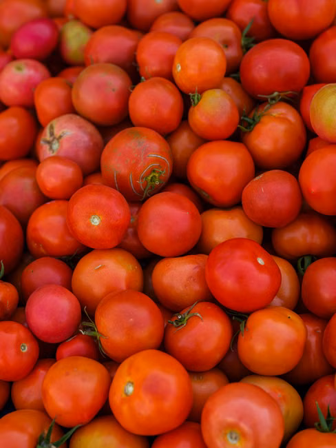 Tomate Italiano (kg)
