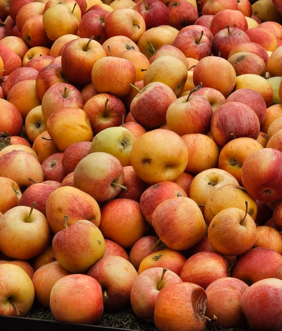 Açougue